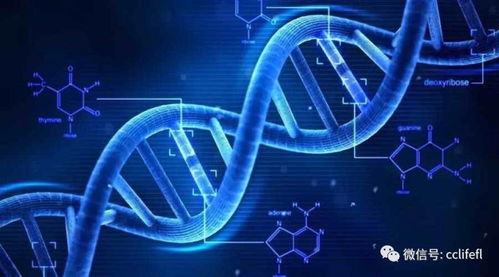 超越AI 新一代基礎資源與技術重塑未來